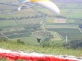 Tokaj 5.jpg